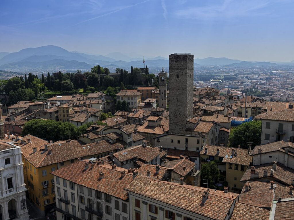 Bergamot from Campanone Torre Civica