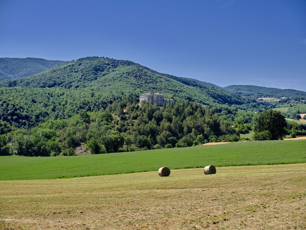 Near Torre