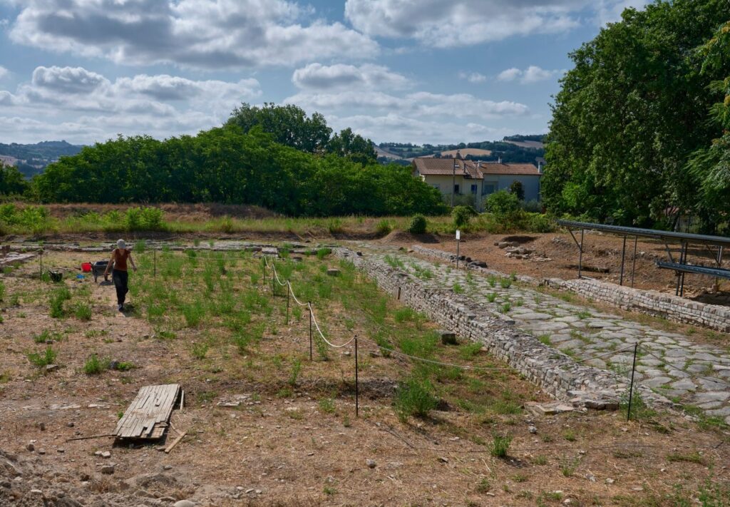 Archaeological excavation of Forum Sempronii