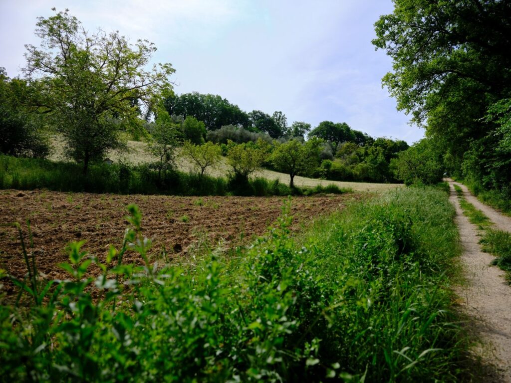A rural section of the Via Flaminia