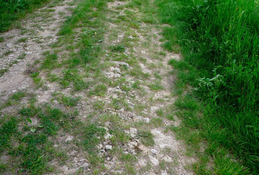 Ancient road bed