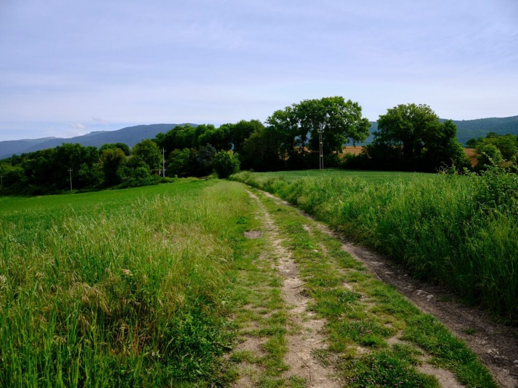 The Via Flaminia crossing farmland
