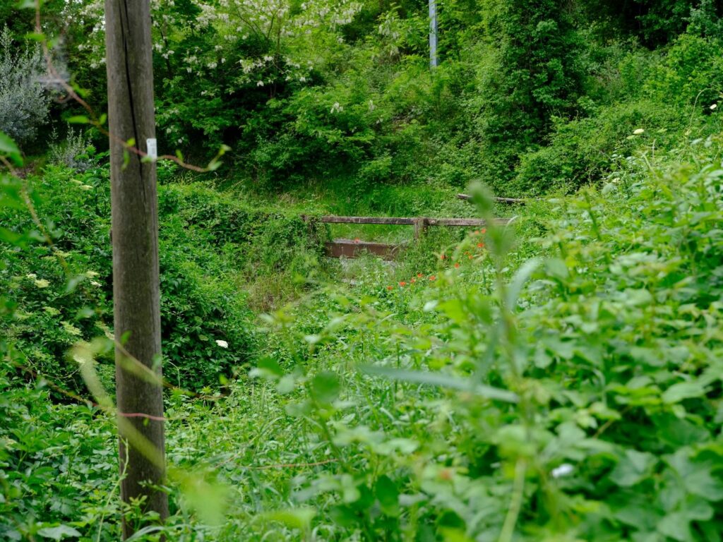 A hidden bridge on the Via Flaminia