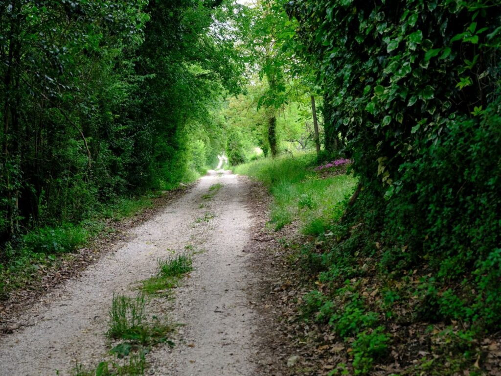Via Flaminia near Acquasparta