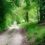 Via Flaminia – All the Way (Part 2)