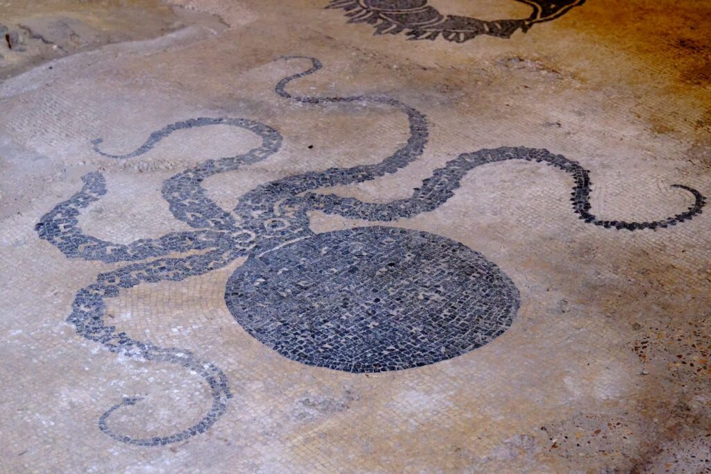 Roman bath mosaics at Bevagna