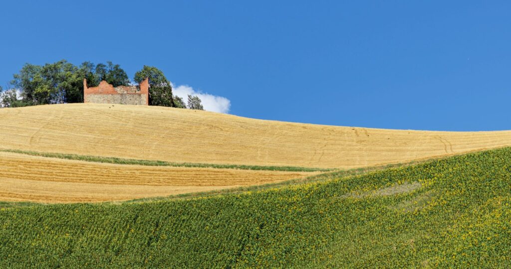Near Monterenzio