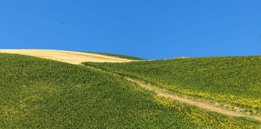 Near Monterenzio