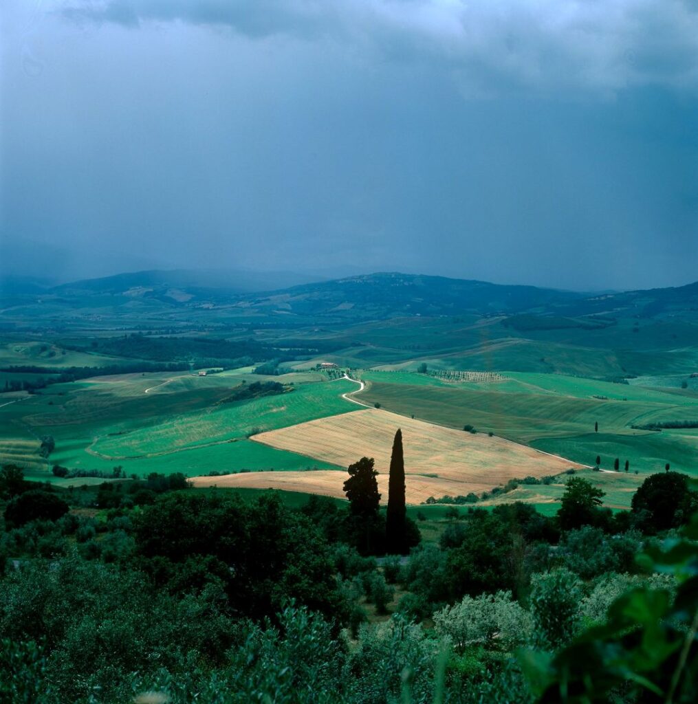 Near Pienza