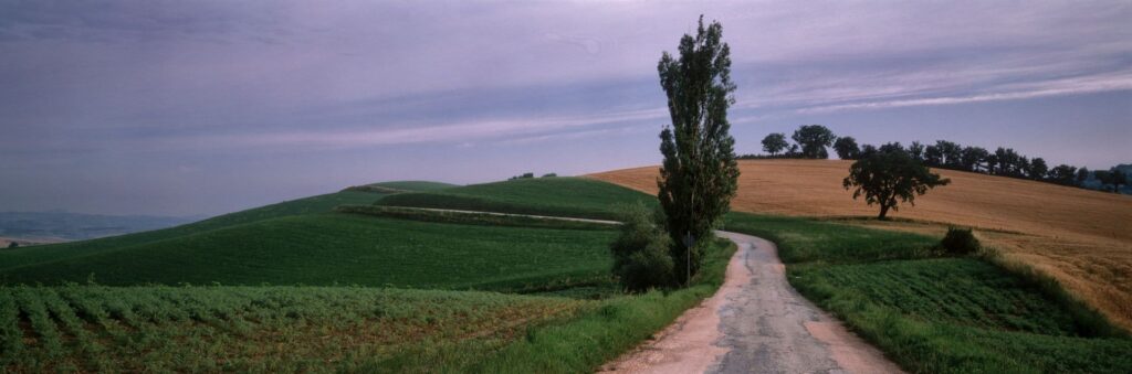 Marche ridge road