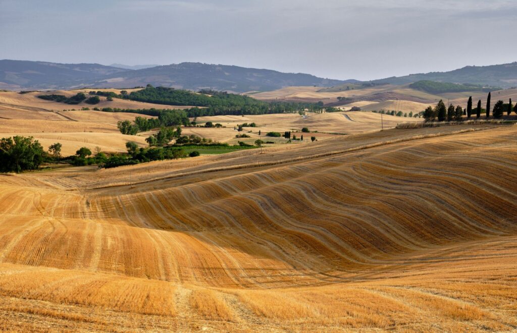 Harvested field outside Pienza
