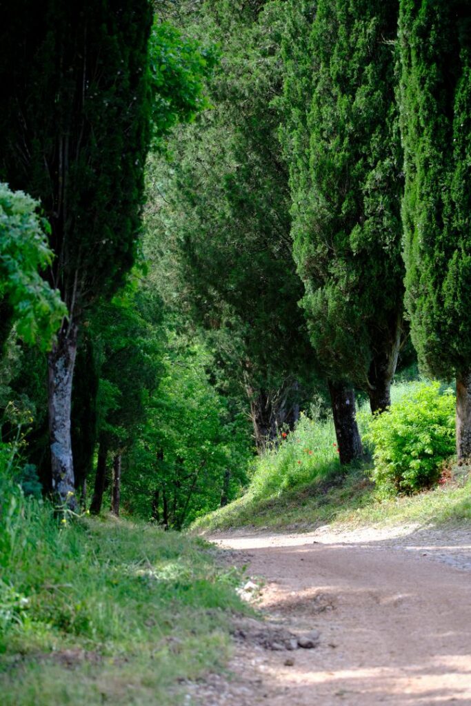 Near Pesciano