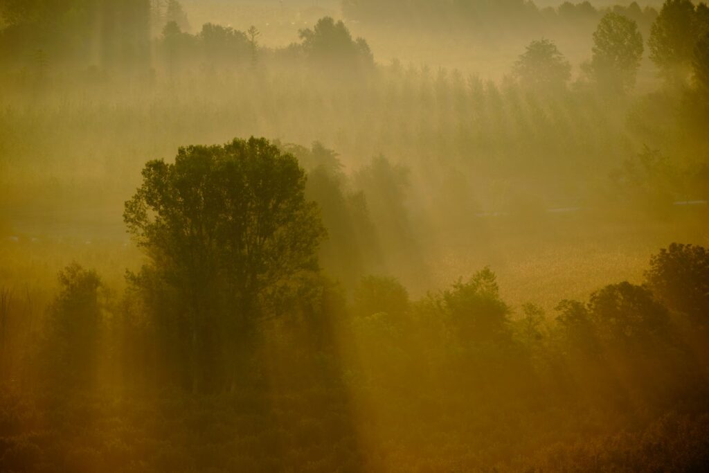 Dawn at La Morra