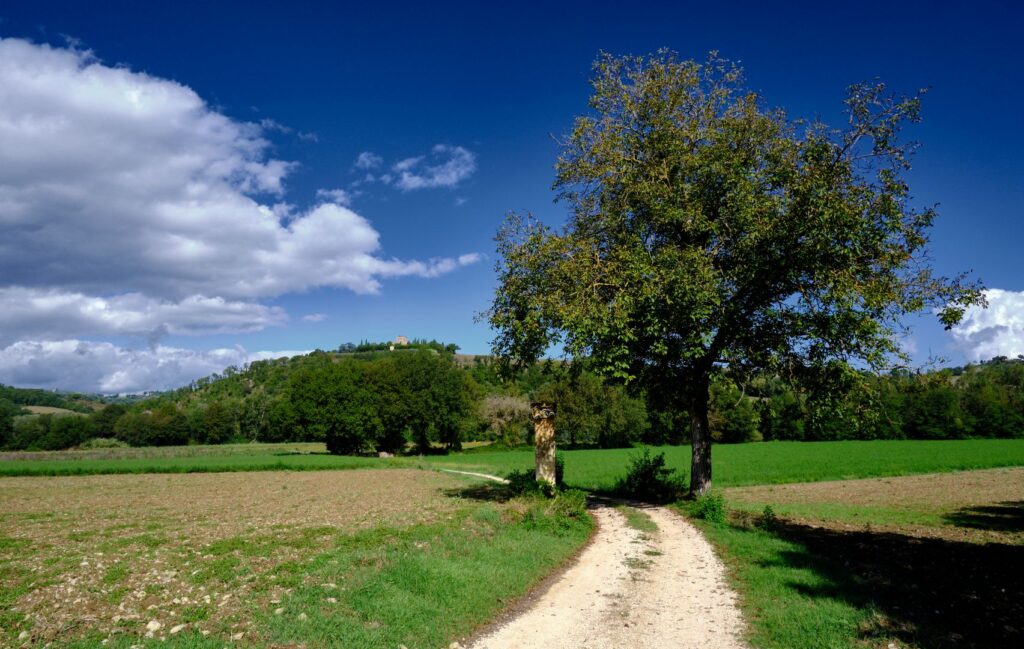 Sentiero del Furioso