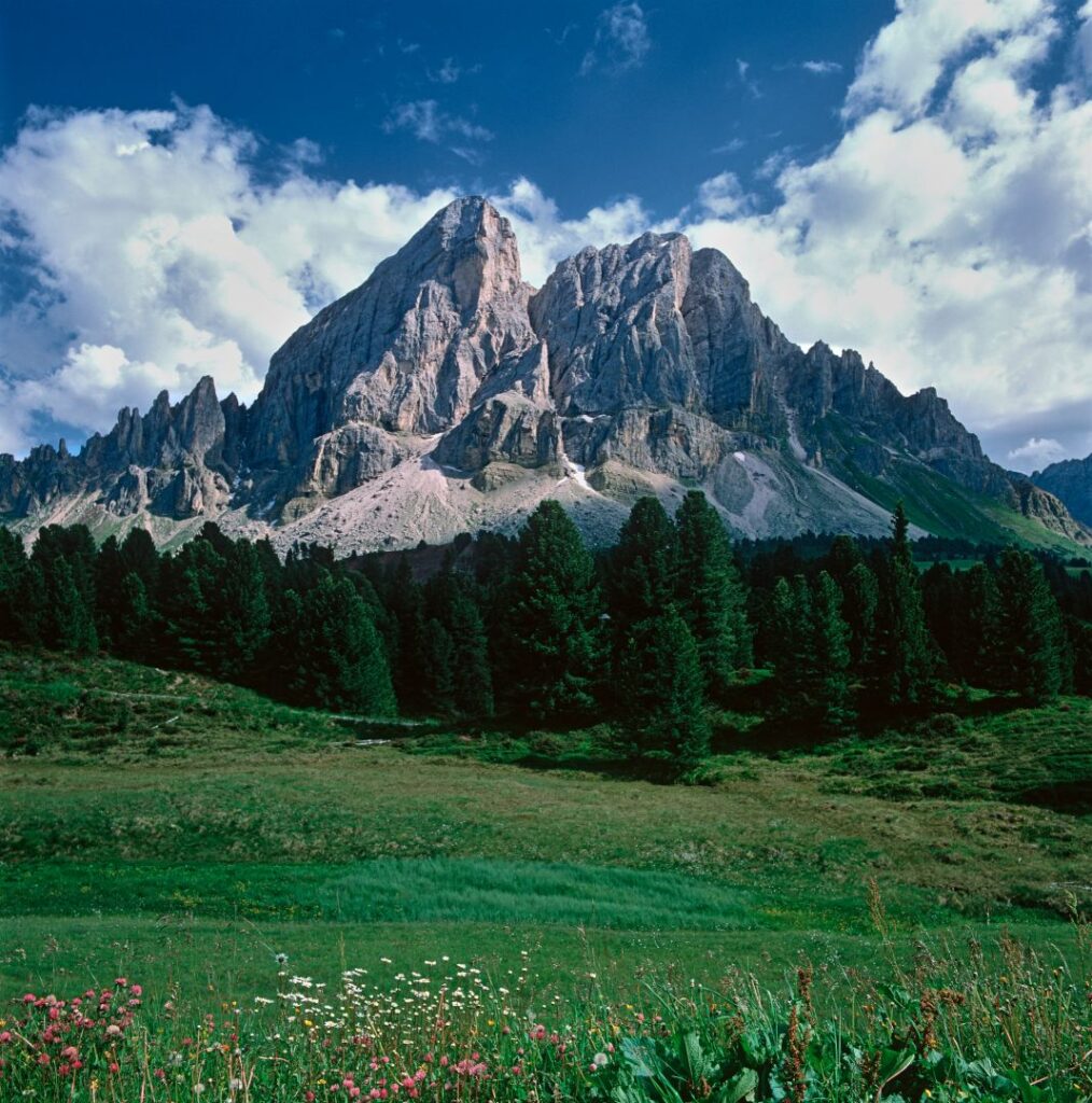 Passo delle Erbe