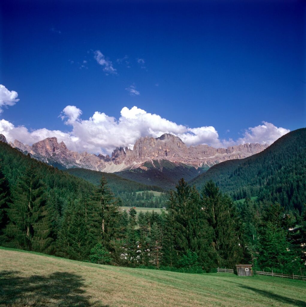 Rosengarten
