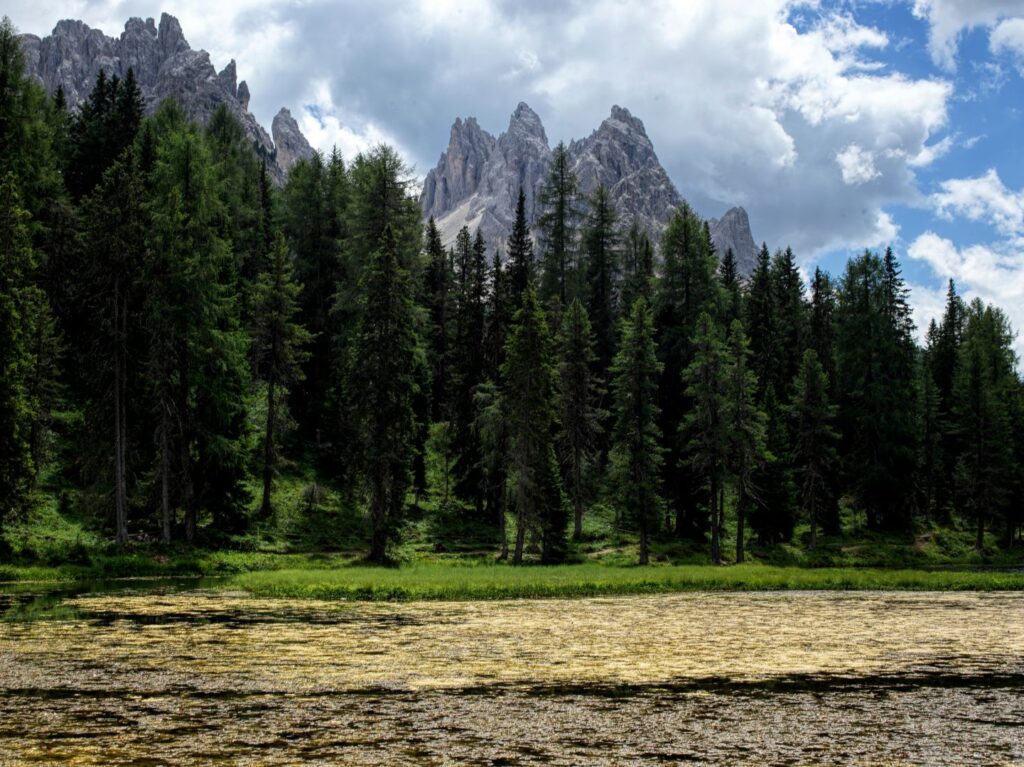 Misurina